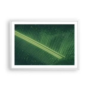 Affiche dans un cadre blanc - Poster - Structure de vert - 70x50 cm