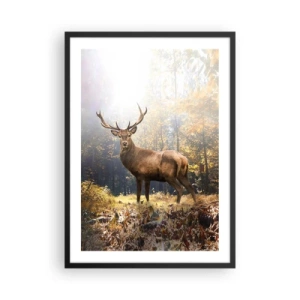 Affiche dans un cadre noir - Poster - Un cerf dans une forêt éclairée par la lumière du soleil - 50x70cm - Toute sa majesté - Décoration murale moderne pour le salon et la chambre ARTTOR