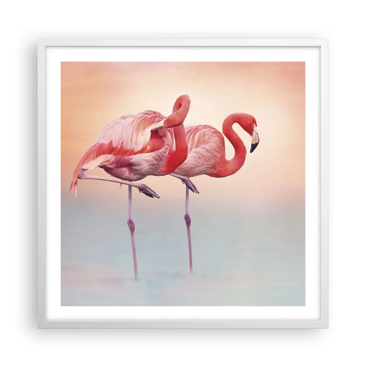 Affiche dans un cadre blanc - Poster - Dans les couleurs du soleil couchant - 60x60 cm