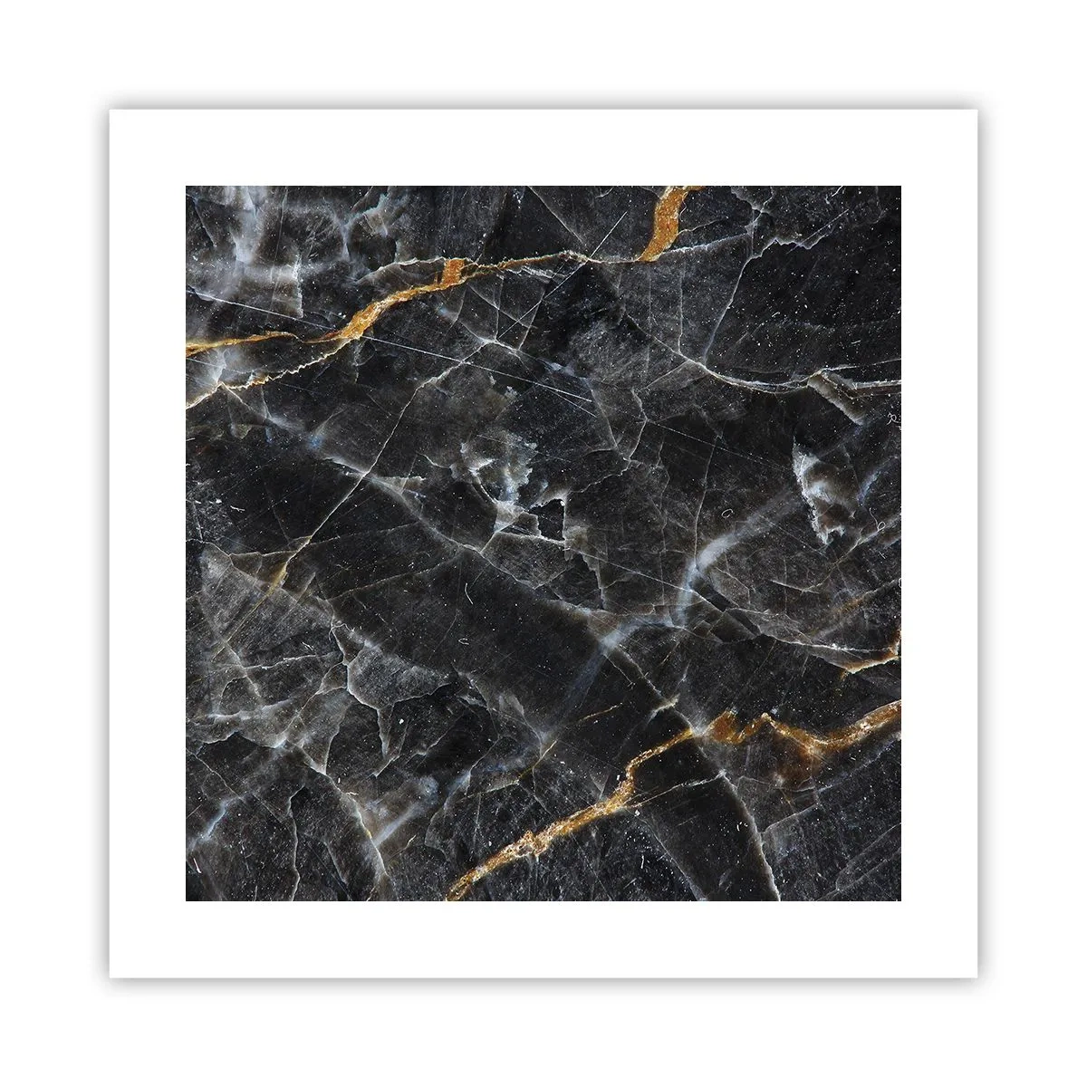 Affiche - Poster - La vie intérieure de la pierre - 40x40 cm