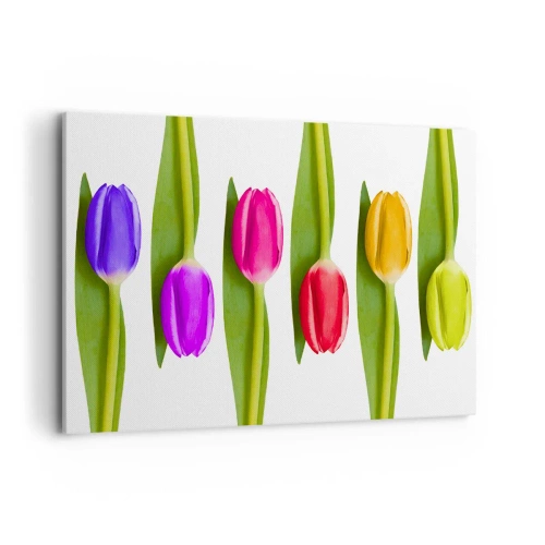 Impression sur toile - Image sur toile - Tulipes multicolores disposées en rangée sur fond blanc - 120x80cm - Composition arc-en-ciel - Décoration murale moderne pour le salon et la chambre ARTTOR