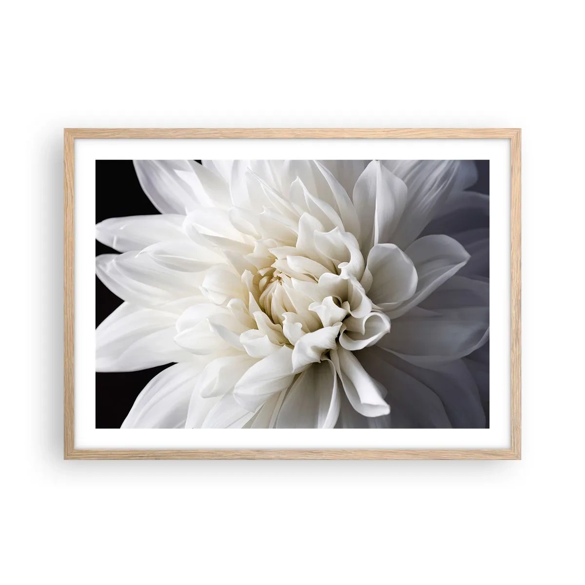 Affiche dans un chêne clair - Poster - Le matin de la jeune mariéé - 70x50 cm