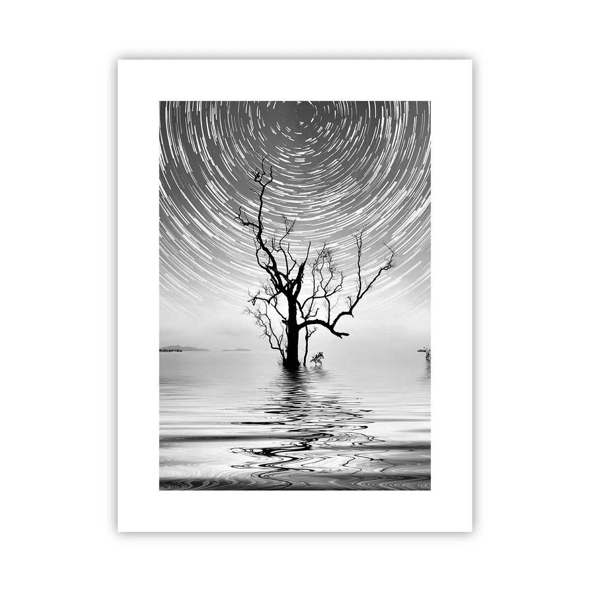 Affiche - Poster - La symphonie de la nature - 30x40 cm