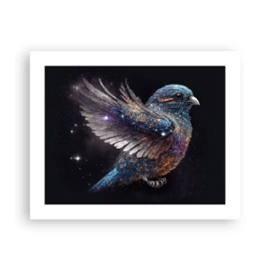 Affiche - Poster - Moineau de diamant - 50x40 cm