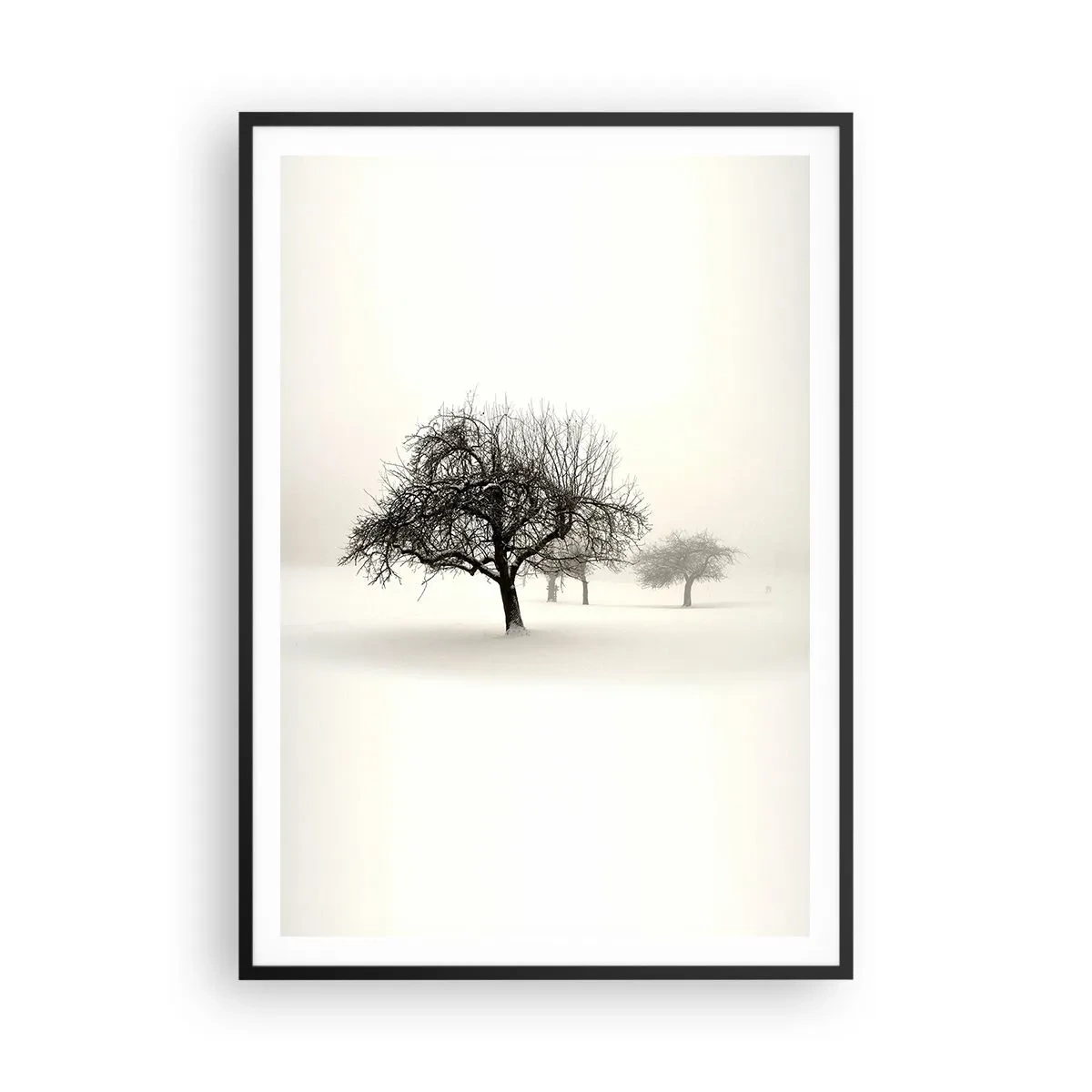 Affiche dans un cadre noir - Poster - Un rêve hivernal - 70x100 cm