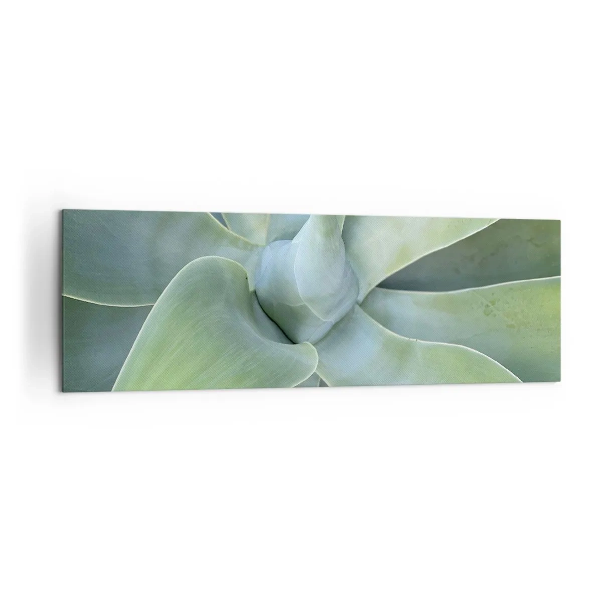 Impression sur toile - Image sur toile - Feuilles d'agave subtiles dans des tons verts - 160x50cm - La naissance de la verdure - Décoration murale moderne pour le salon et la chambre ARTTOR