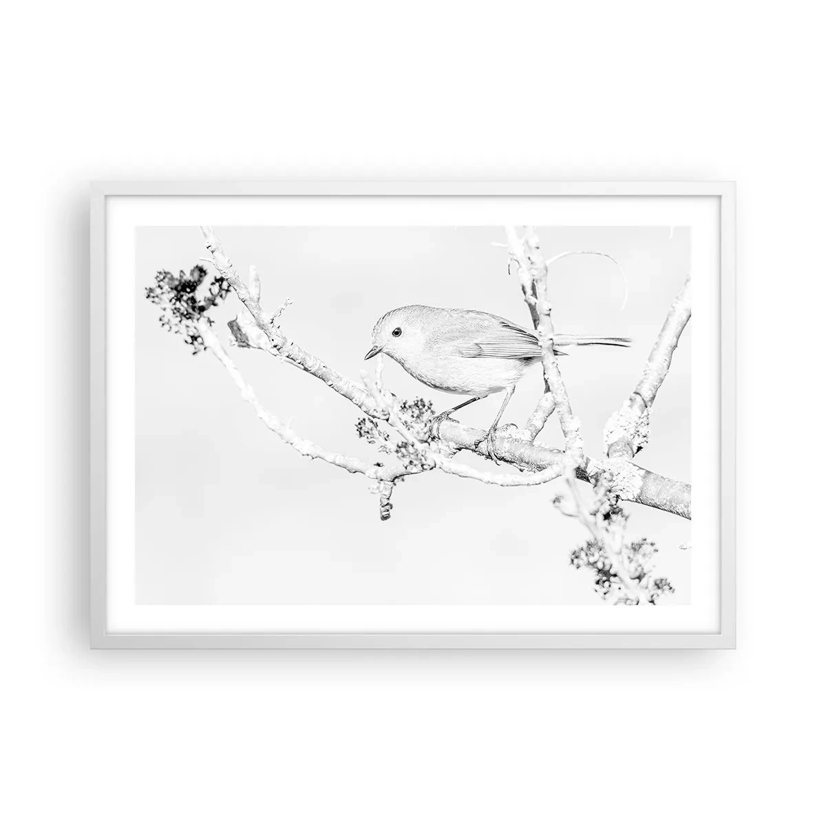 Affiche dans un cadre blanc - Poster - Matin d'hiver - 70x50 cm