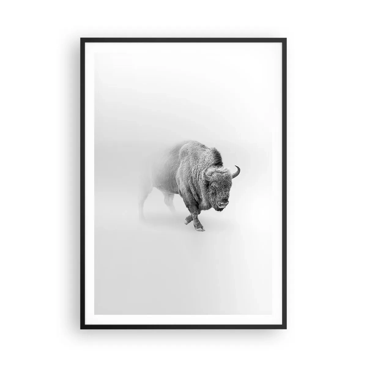 Affiche dans un cadre noir - Poster - Roi de la prairie - 70x100 cm