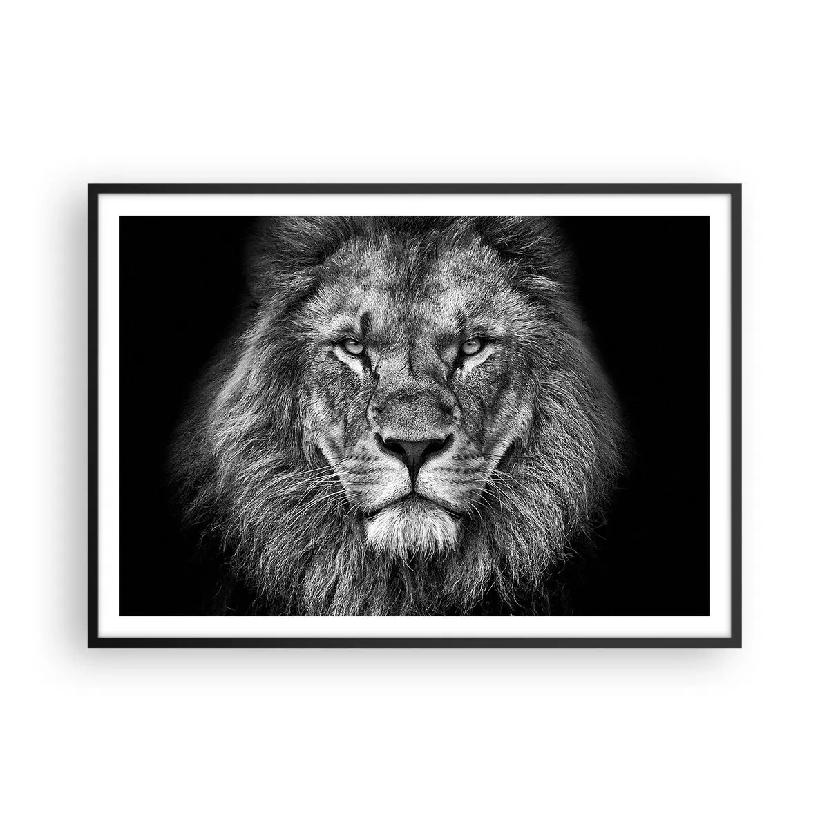 Affiche dans un cadre noir - Poster - Portrait d'un lion majestueux en noir et blanc - 100x70cm - En vêtement de sacre - Décoration murale moderne pour le salon et la chambre ARTTOR