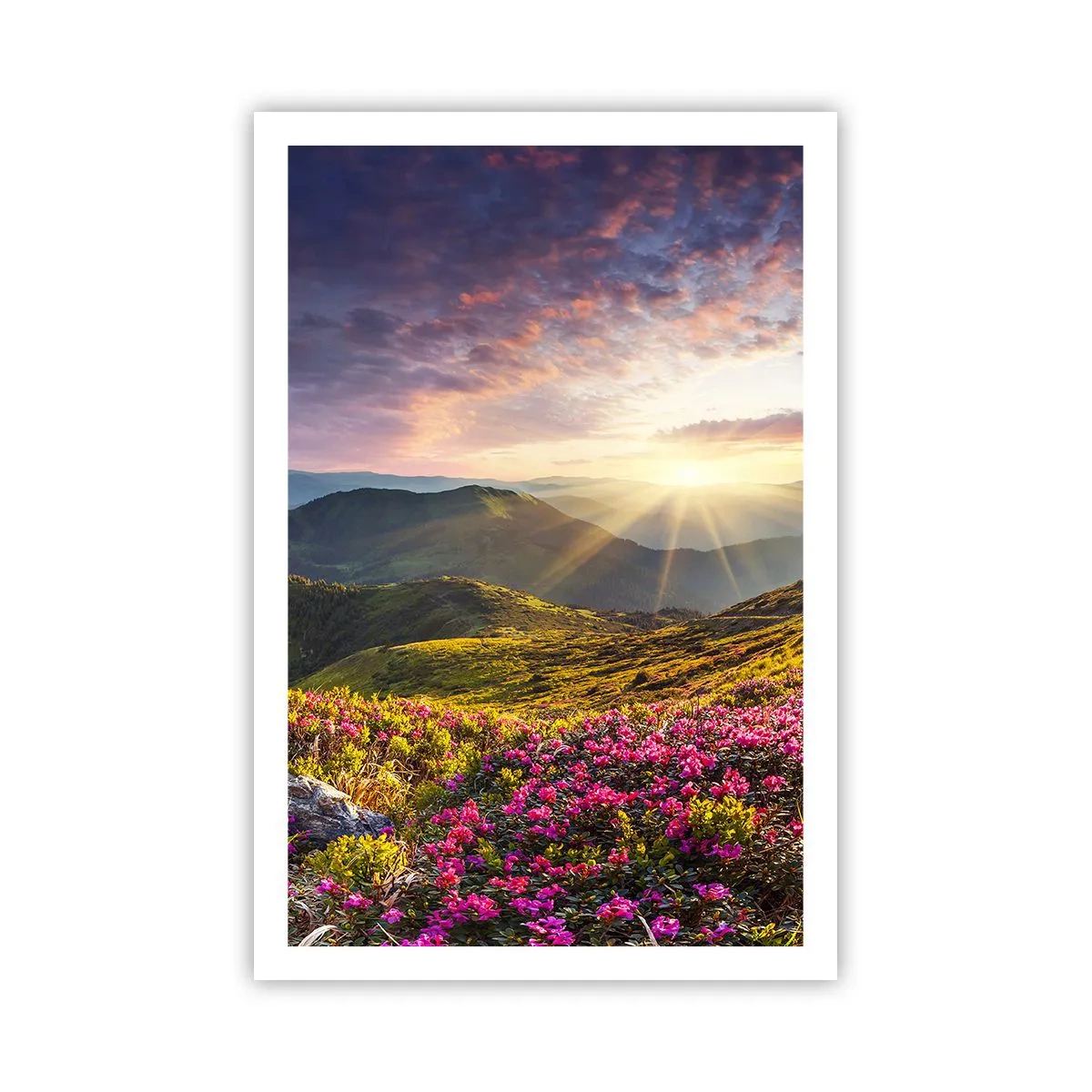 Affiche - Poster - Fraîcheur matinale en montagne - 61x91 cm