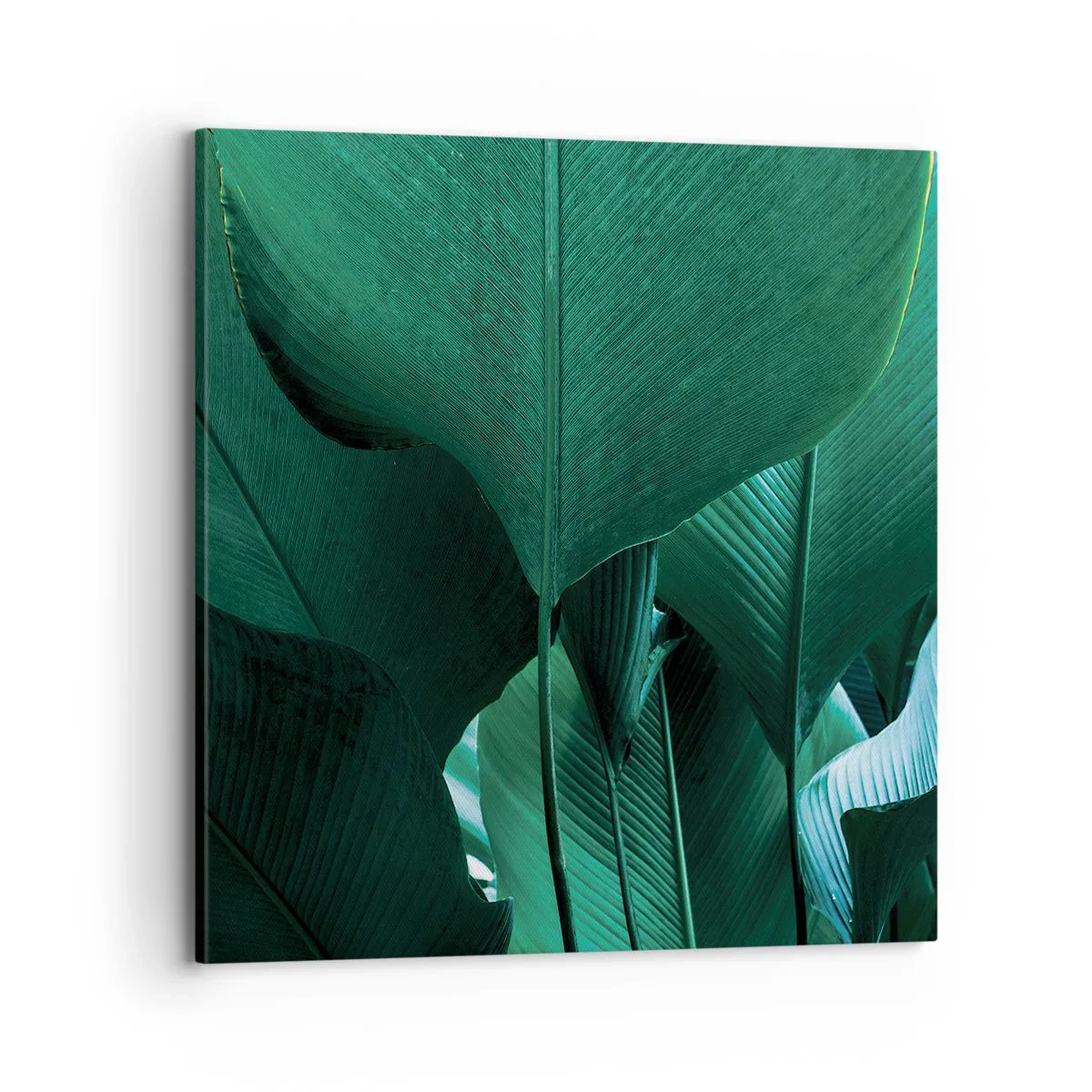 Impression sur toile - Image sur toile - Tourné vers la lumière - 70x70 cm