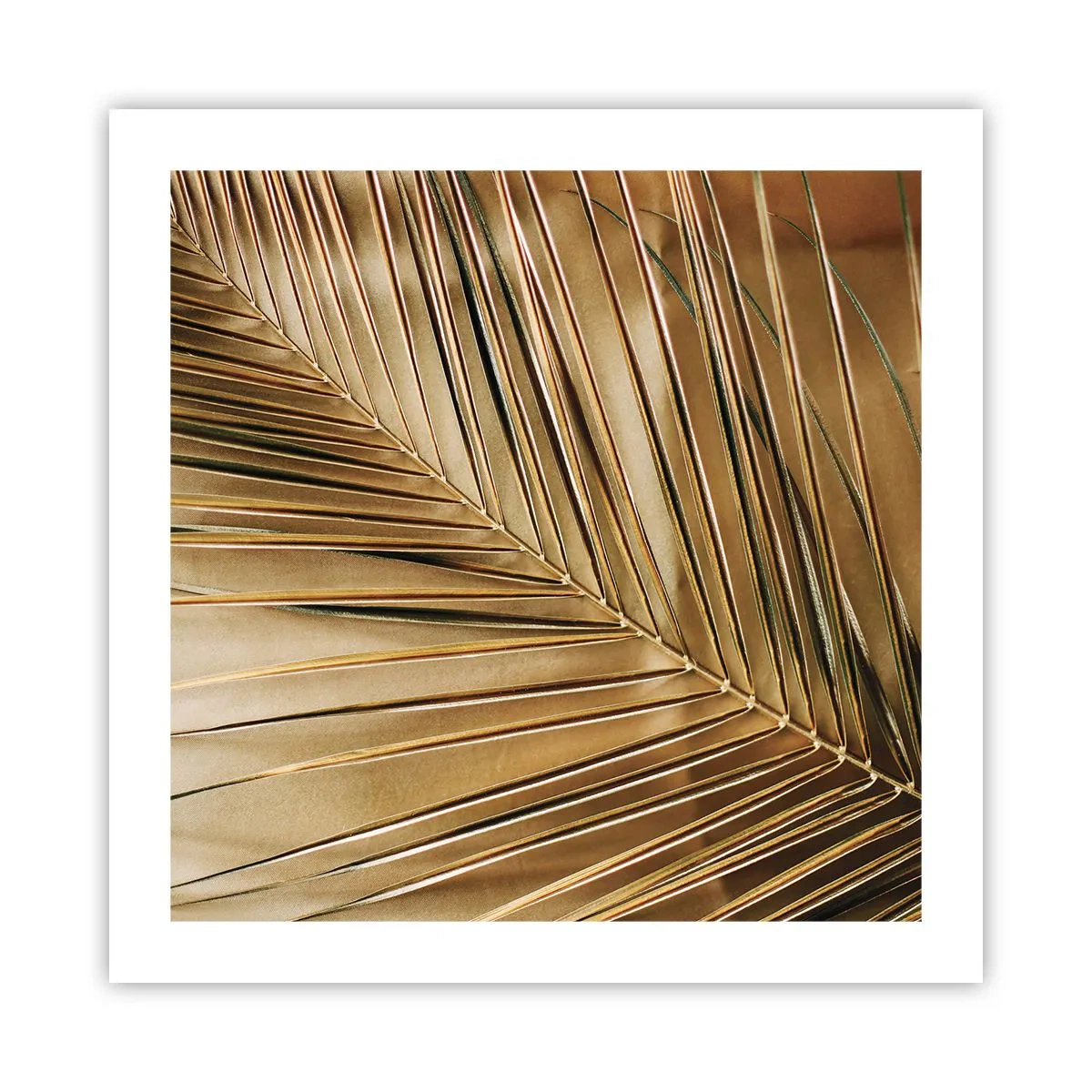 Affiche - Poster - Colonnade naturelle - 50x50 cm