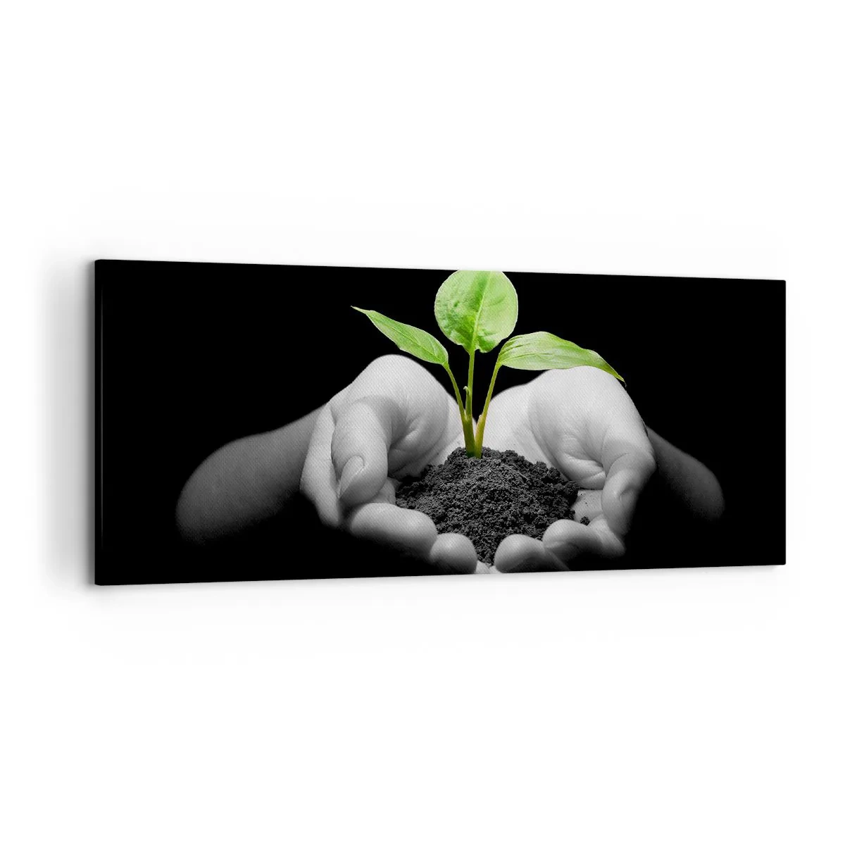 Impression sur toile - Image sur toile - Mains tenant une plante verte sur fond noir - 120x50cm - J'aime la nature, je la protège - Décoration murale moderne pour le salon et la chambre ARTTOR