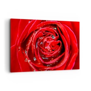 Impression sur toile - Image sur toile - Gros plan d'une rose rouge avec des gouttes d'eau sur les pétales - 120x80cm - Dans les gouttes de rosée - Décoration murale moderne pour le salon et la chambre ARTTOR