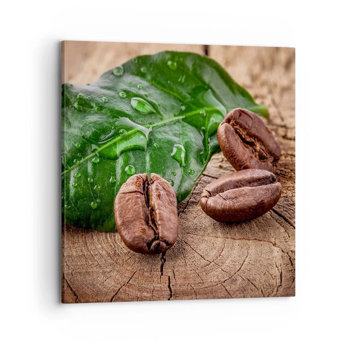 Impression sur toile - Image sur toile - La plus vraie et noire - 70x70 cm