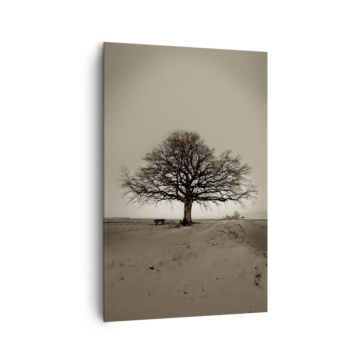 Impression sur toile - Image sur toile - Un arbre solitaire dans un champ de sépia - 80x120cm - D'ici à l'éternité - Décoration murale moderne pour le salon et la chambre ARTTOR