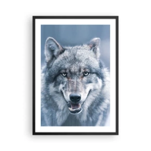 Affiche dans un cadre noir - Poster - Portrait d'un loup dans un paysage hivernal - 50x70cm - Relèverez-vous le défi ? - Décoration murale moderne pour le salon et la chambre ARTTOR