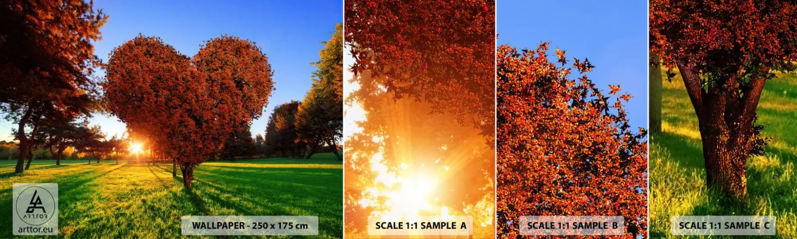 Échantillon de Papier Peint Autocollant Deluxe Sticker - Et comment ne pas aimer tomber - Paysage, Arbre, Rayons du soleil - 100x30 cm