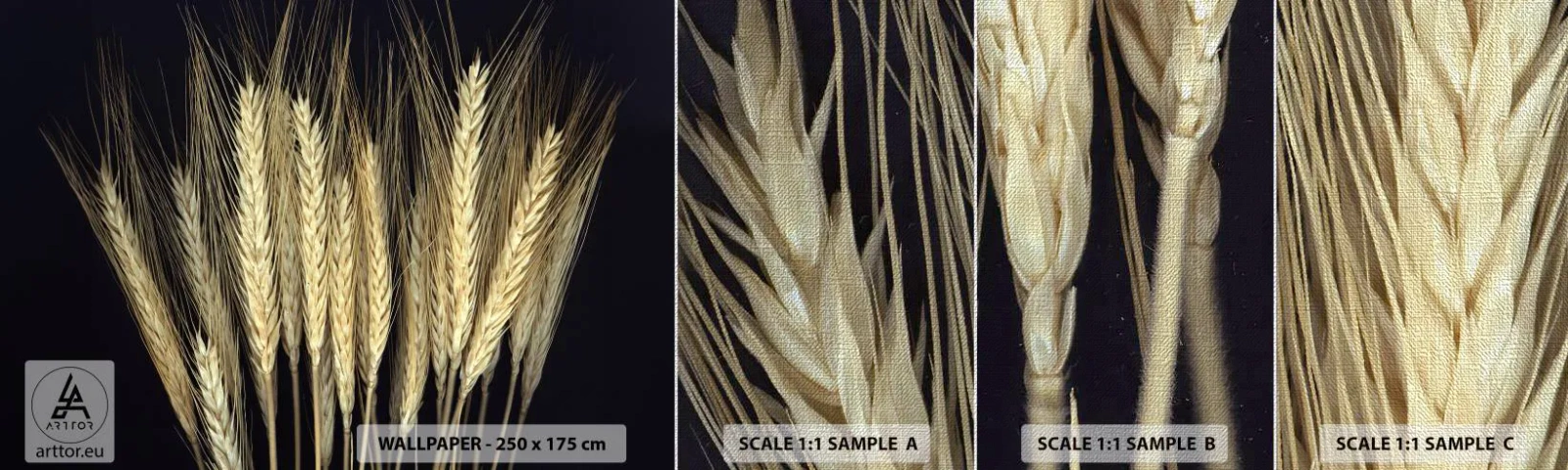 Échantillon de Papier Peint Premium Canvas - Magie rustique - Céréale, Plantes, Nature - 100x30 cm