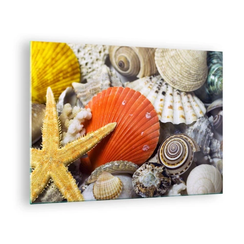 Impression sur verre - Image sur verre - Coquillages colorés et étoiles de mer dans une composition marine - 70x50cm - Trésors de l'océan - Décoration murale moderne pour le salon et la chambre ARTTOR