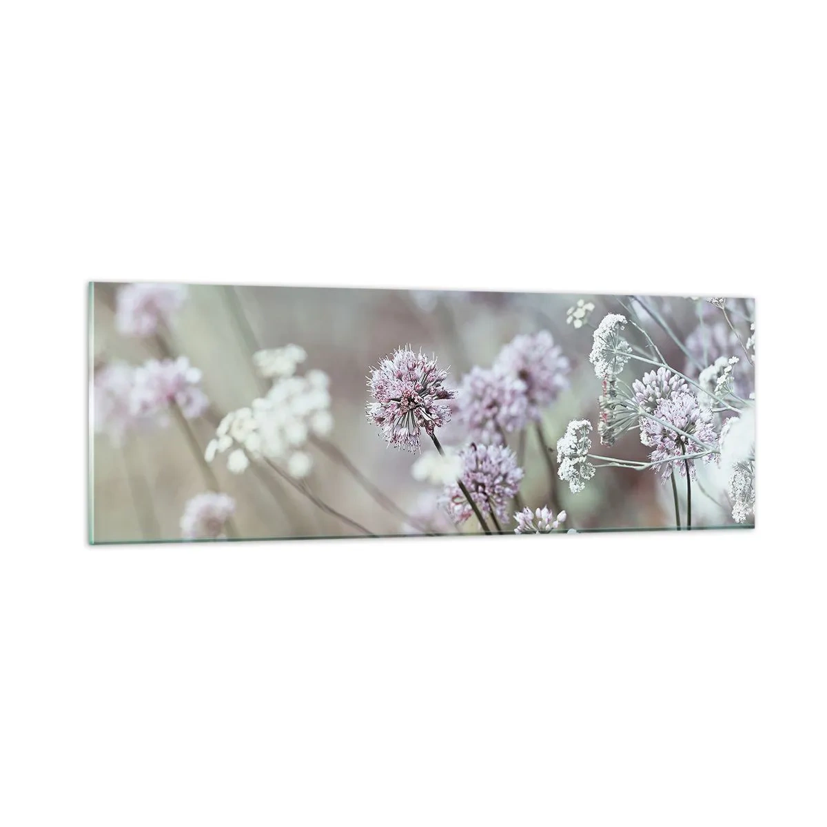 Impression sur verre - Image sur verre - Herbes douces en filigrane - 90x30 cm