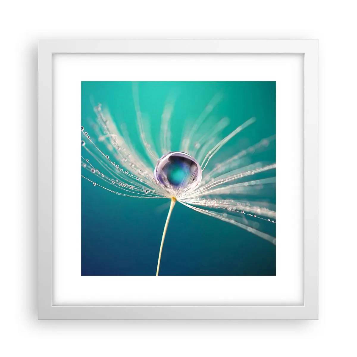 Affiche dans un cadre blanc - Poster - Moment mystique - 30x30 cm