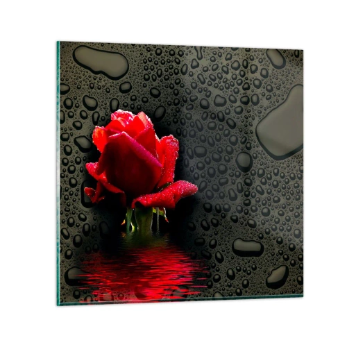 Impression sur verre - Image sur verre - Rouge et noir - 70x70 cm