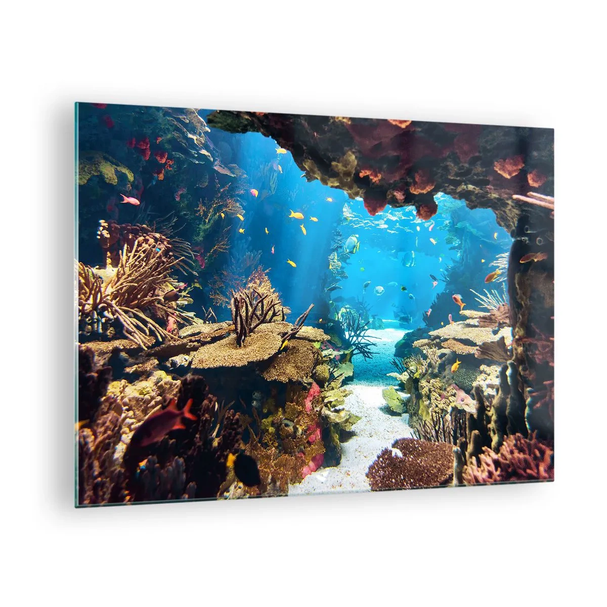 Impression sur verre - Image sur verre - Monde sous-marin avec récif corallien et poissons - 70x50cm - Tu ne l'as même pas rêvé - Décoration murale moderne pour le salon et la chambre ARTTOR