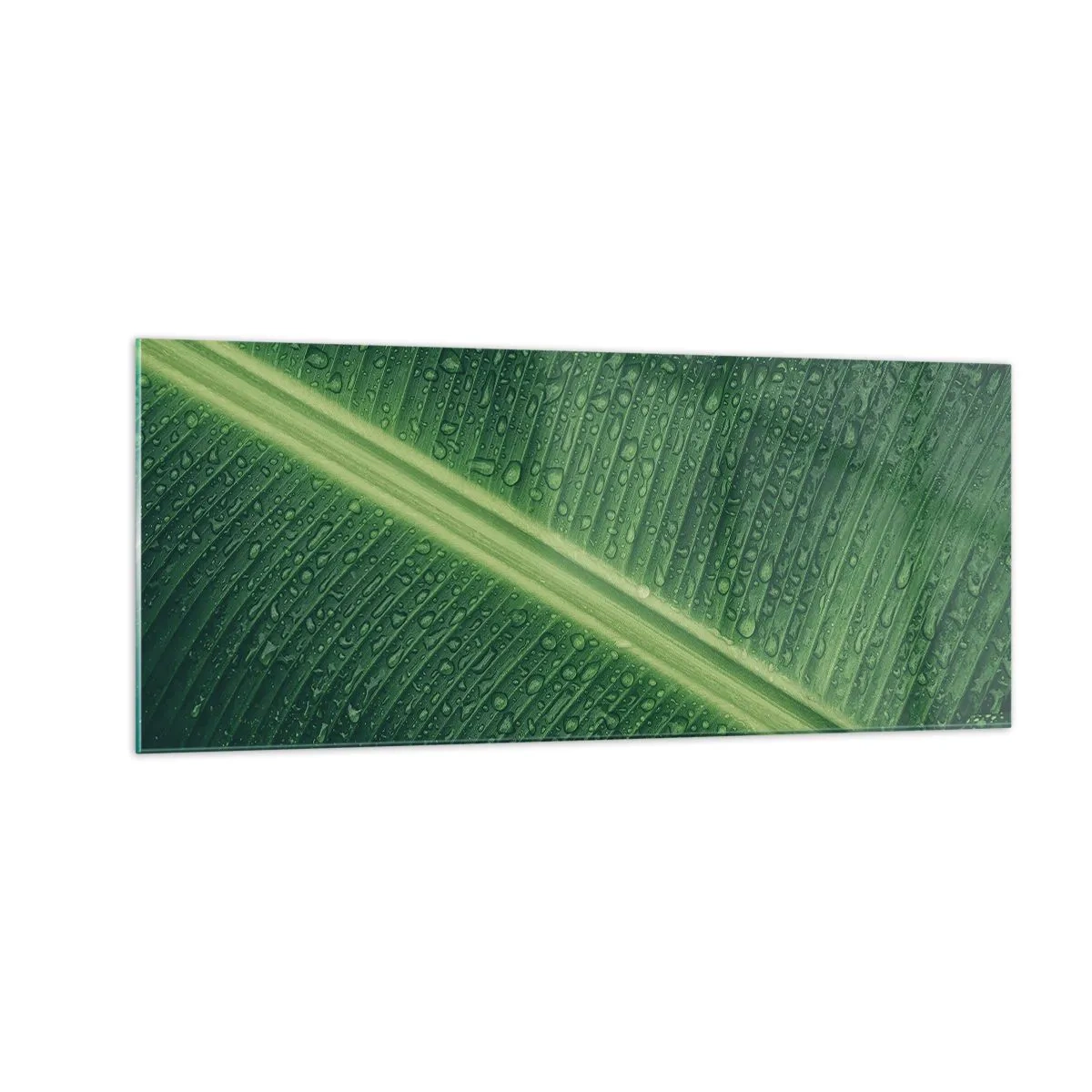 Impression sur verre - Image sur verre - Structure de vert - 100x40 cm