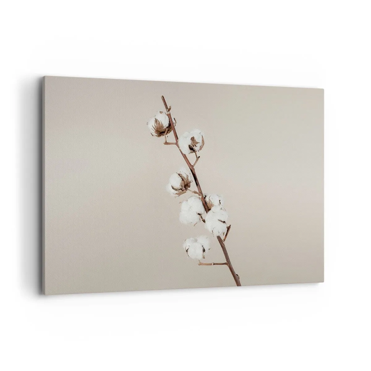 Impression sur toile - Image sur toile - Un brin de coton sur fond beige - 120x80cm - A la source de la douceur - Décoration murale moderne pour le salon et la chambre ARTTOR