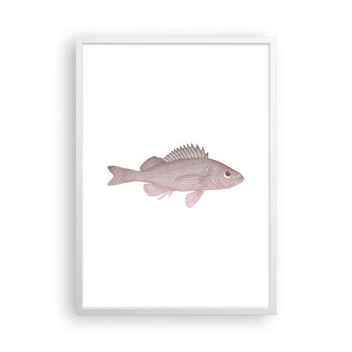 Affiche dans un cadre blanc - Poster - Poisson aux grands yeux - 50x70 cm