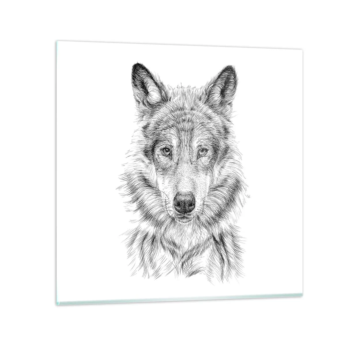 Impression sur verre - Image sur verre - Un leader né - 40x40 cm