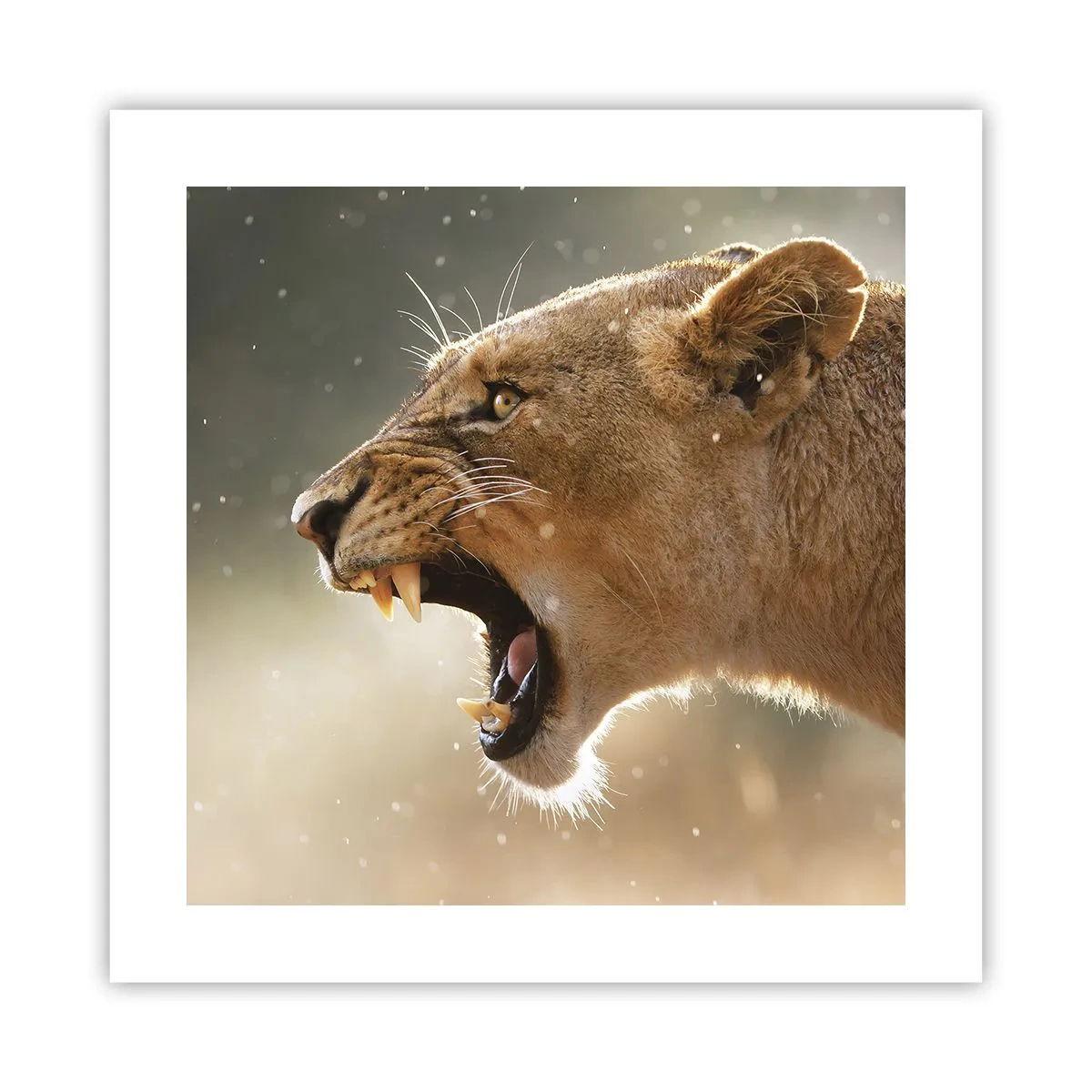 Affiche - Poster - Essayez de ne pas écouter - 40x40 cm