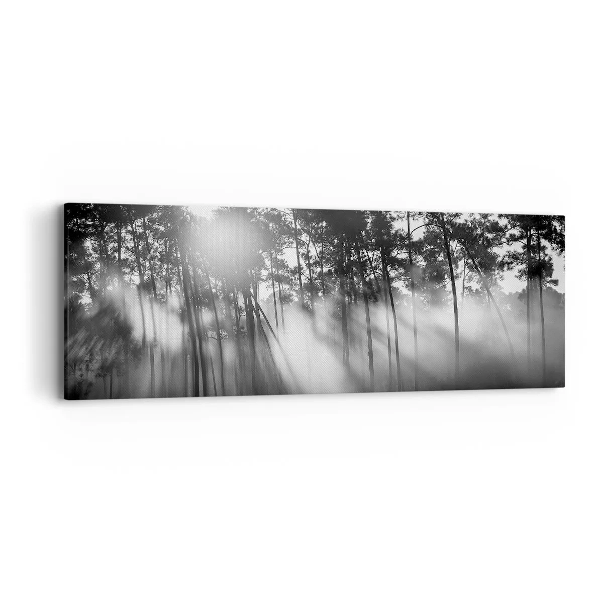 Impression sur toile - Image sur toile - Soleil inarrêtable - 90x30 cm