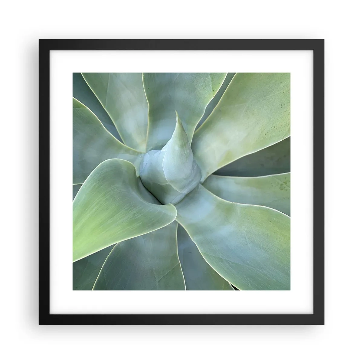 Affiche dans un cadre noir - Poster - La naissance de la verdure - 40x40 cm