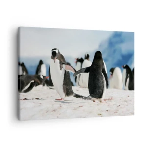 Impression sur toile - Image sur toile - Un groupe de pingouins dans la neige dans un paysage antarctique - 70x50cm - Danser dans la neige - Décoration murale moderne pour le salon et la chambre ARTTOR