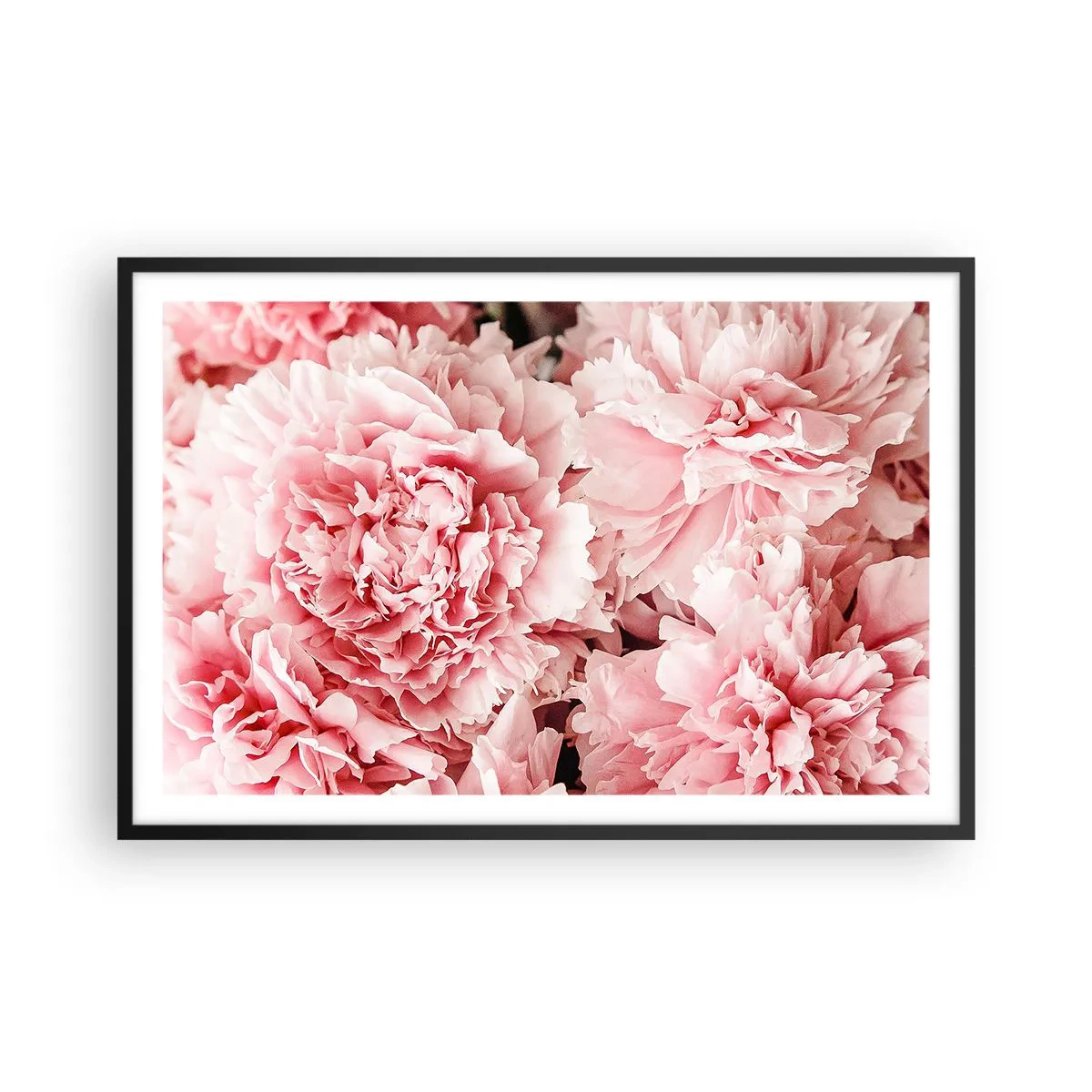 Affiche dans un cadre noir - Poster - Rêve rose - 91x61 cm