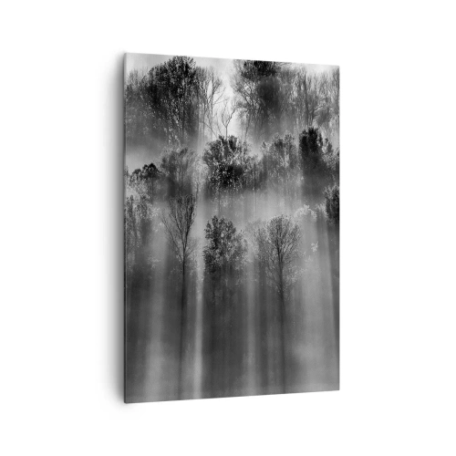 Impression sur toile - Image sur toile - Forêt noire et blanche dans la lumière du matin - 70x100cm - Dans les flots de lumière - Décoration murale moderne pour le salon et la chambre ARTTOR