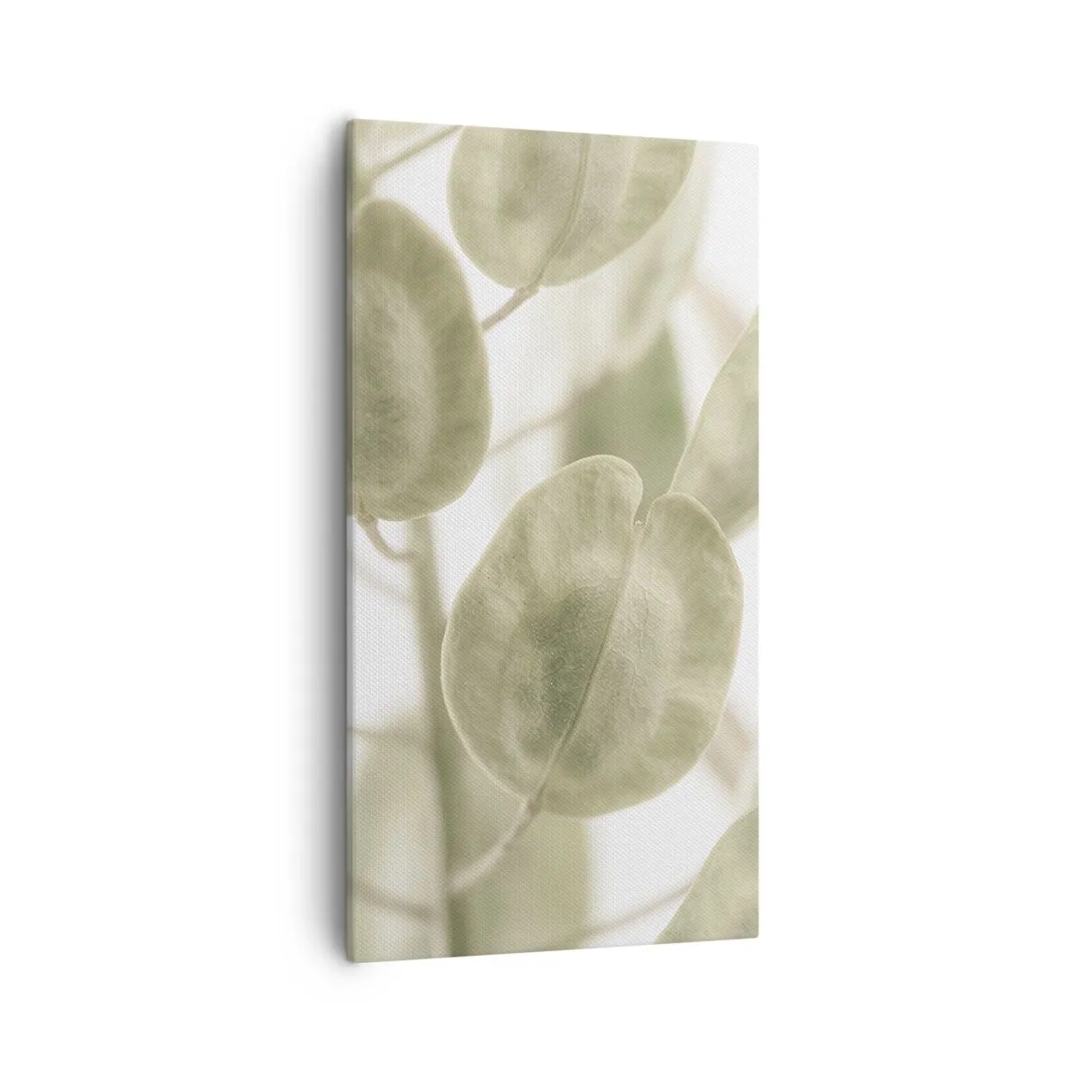 Impression sur toile - Image sur toile - Au commencement il y avait des feuilles... - 55x100 cm