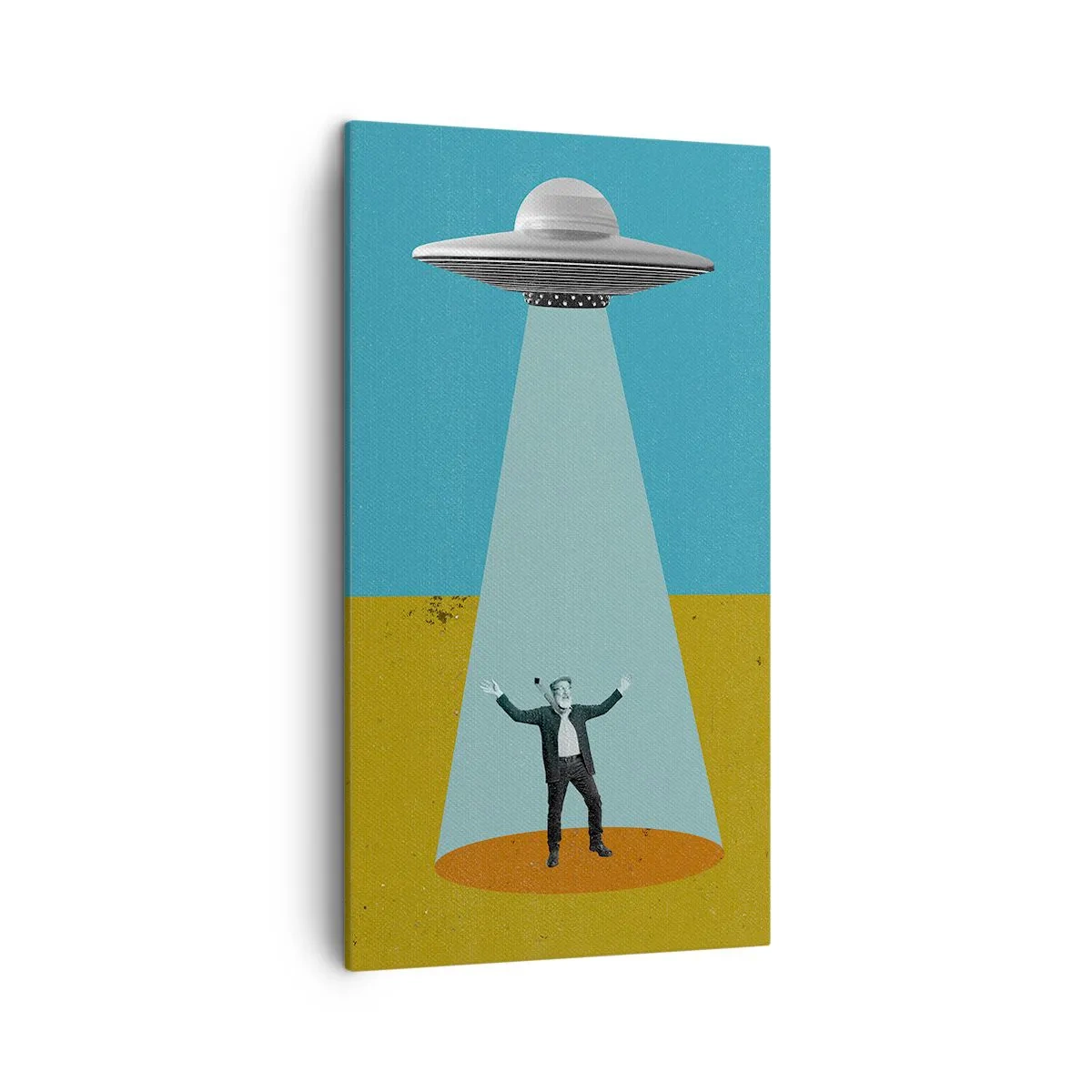 Impression sur toile - Image sur toile - Rencontre proche - 45x80 cm