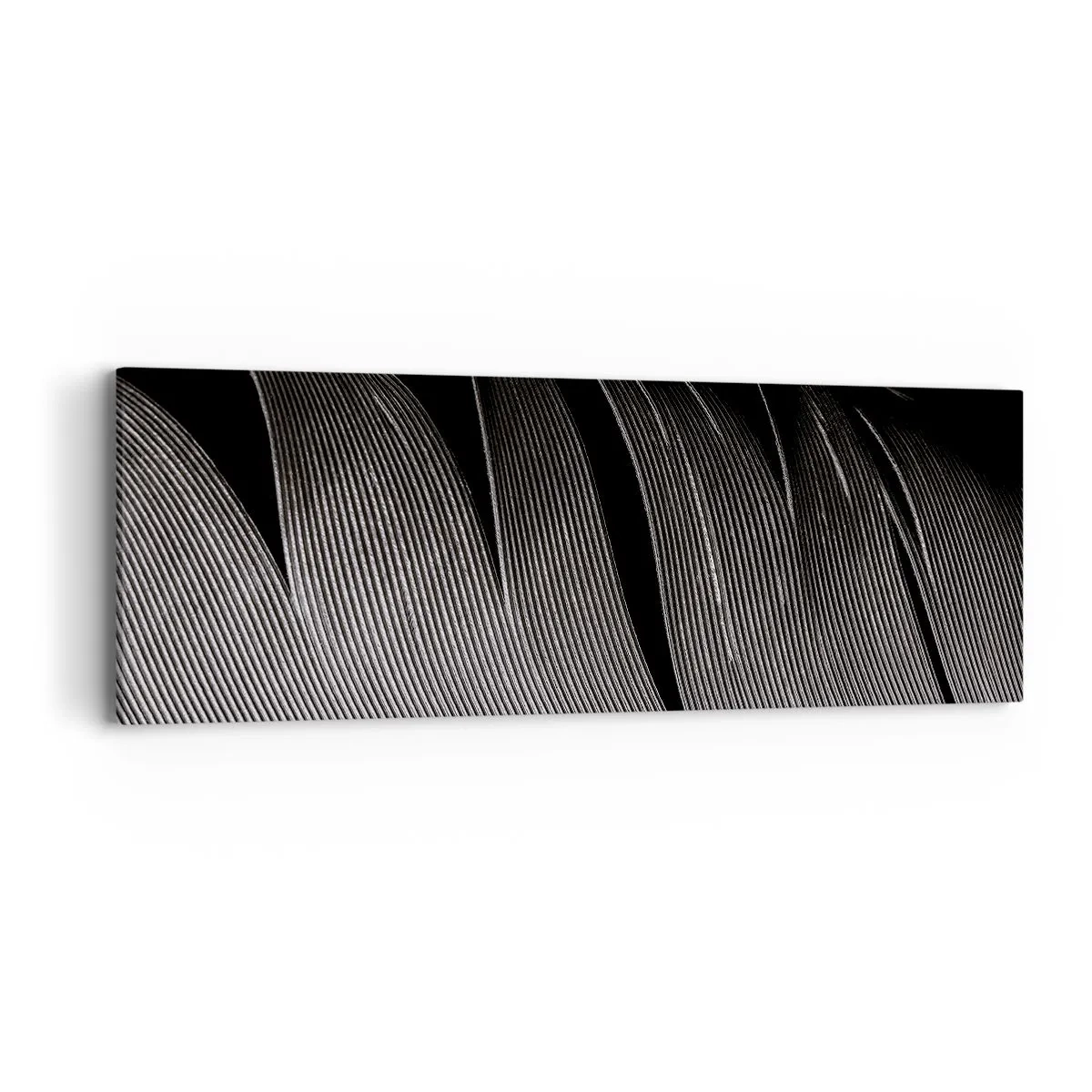 Impression sur toile - Image sur toile - La plume – un design magnifique - 90x30 cm