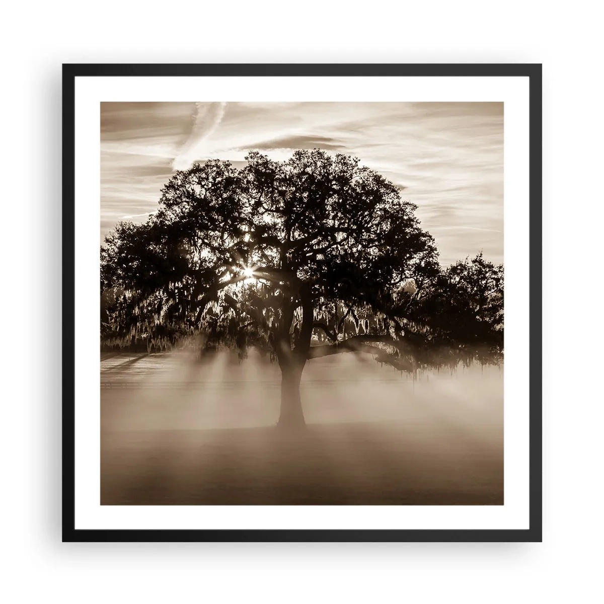 Affiche dans un cadre noir - Poster - Arbre de bonnes nouvelles - 60x60 cm