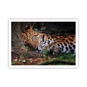 Affiche - Poster - Un léopard couché à l'ombre des arbres - 100x70cm - Fais-moi confiance - Décoration murale moderne pour le salon et la chambre ARTTOR