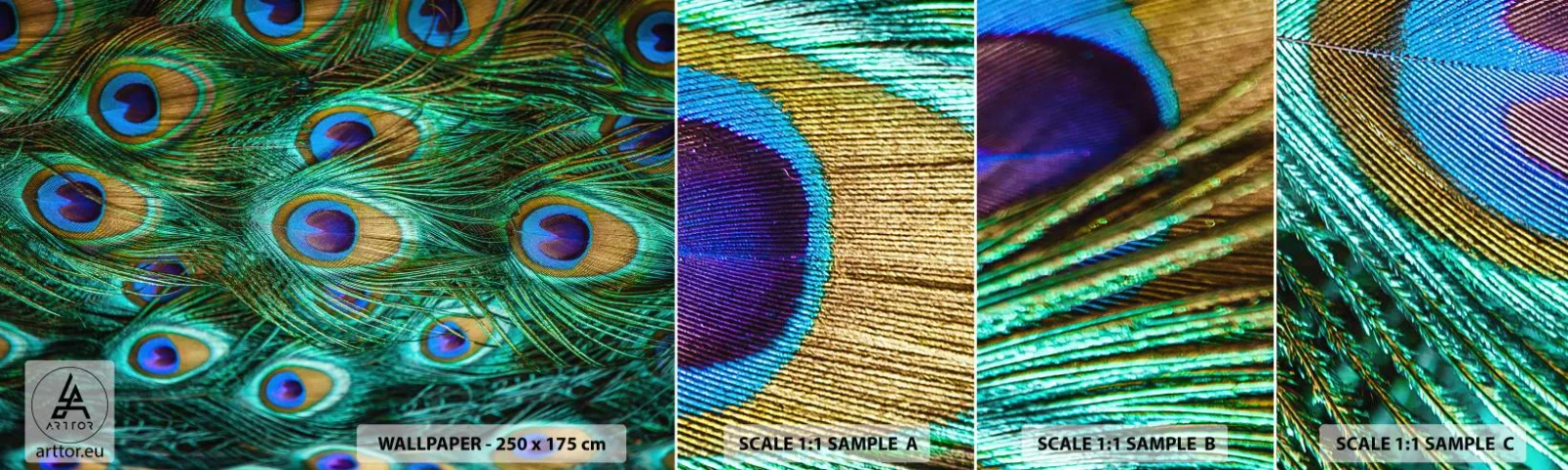 Échantillon de Papier Peint Autocollant Deluxe Sticker - Un regard de paon - Abstraction, Plumes de paon, Plume oiseau - 100x30 cm