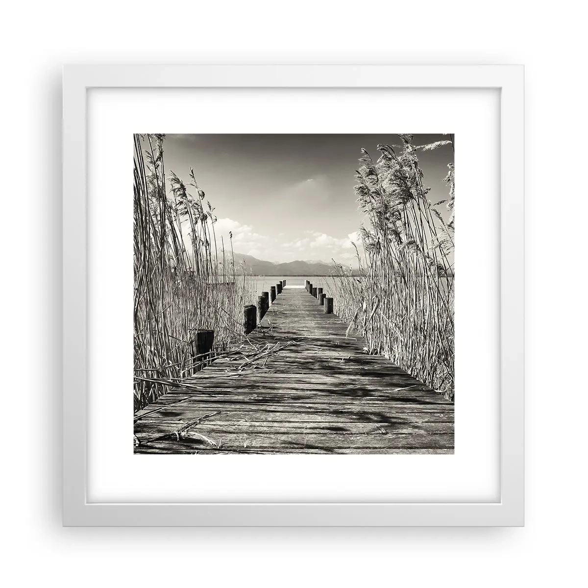 Affiche dans un cadre blanc - Poster - Dans le calme de l'herbe - 30x30 cm