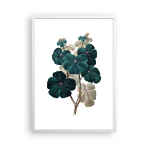 Affiche dans un cadre blanc - Poster - De l'ancien herbier - 50x70 cm