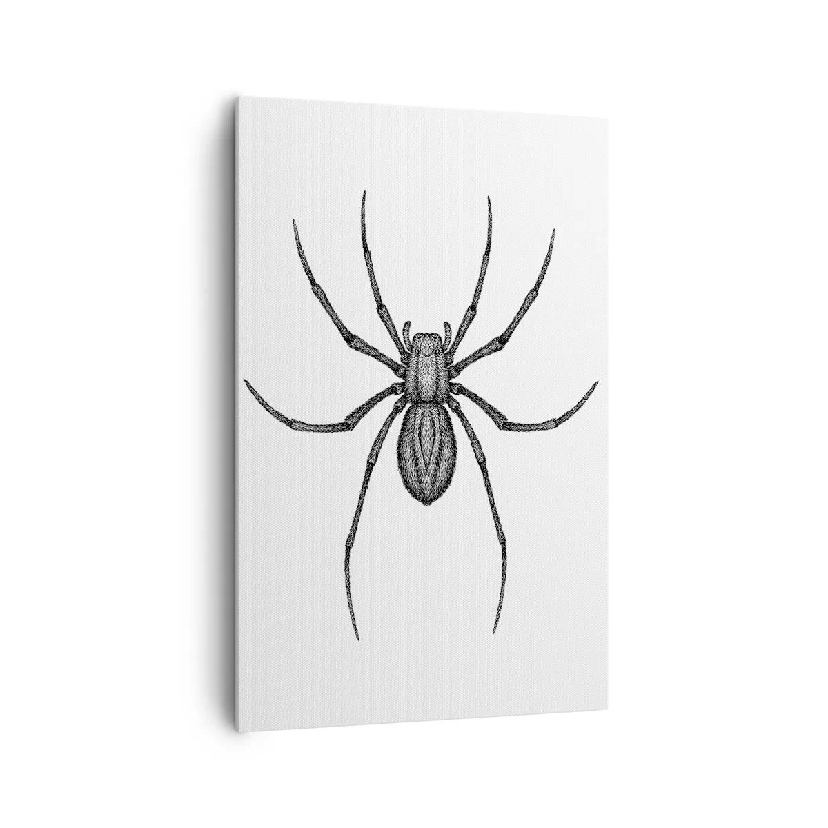 Impression sur toile - Image sur toile - Détail d'une araignée sur fond blanc dans un style dessin animé - 80x120cm - Une précision troublante - Décoration murale moderne pour le salon et la chambre ARTTOR
