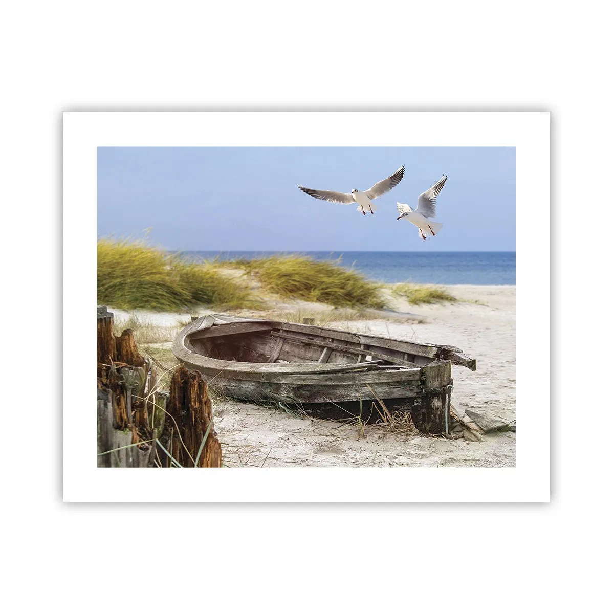 Affiche - Poster - Bain de vent - 50x40 cm