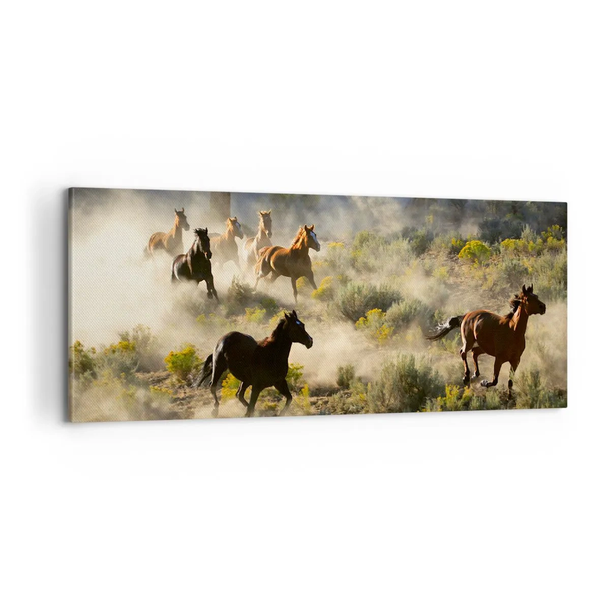 Impression sur toile - Image sur toile - Rivalité - liberté ou force masculine ? - 100x40 cm