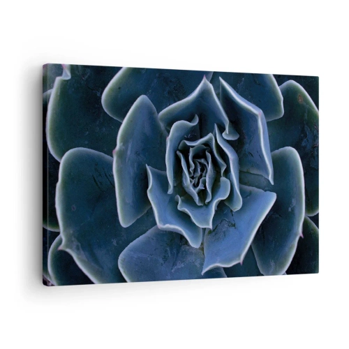 Impression sur toile - Image sur toile - Gros plan d'une rosette succulente verte - 70x50cm - Fleur du désert - Décoration murale moderne pour le salon et la chambre ARTTOR